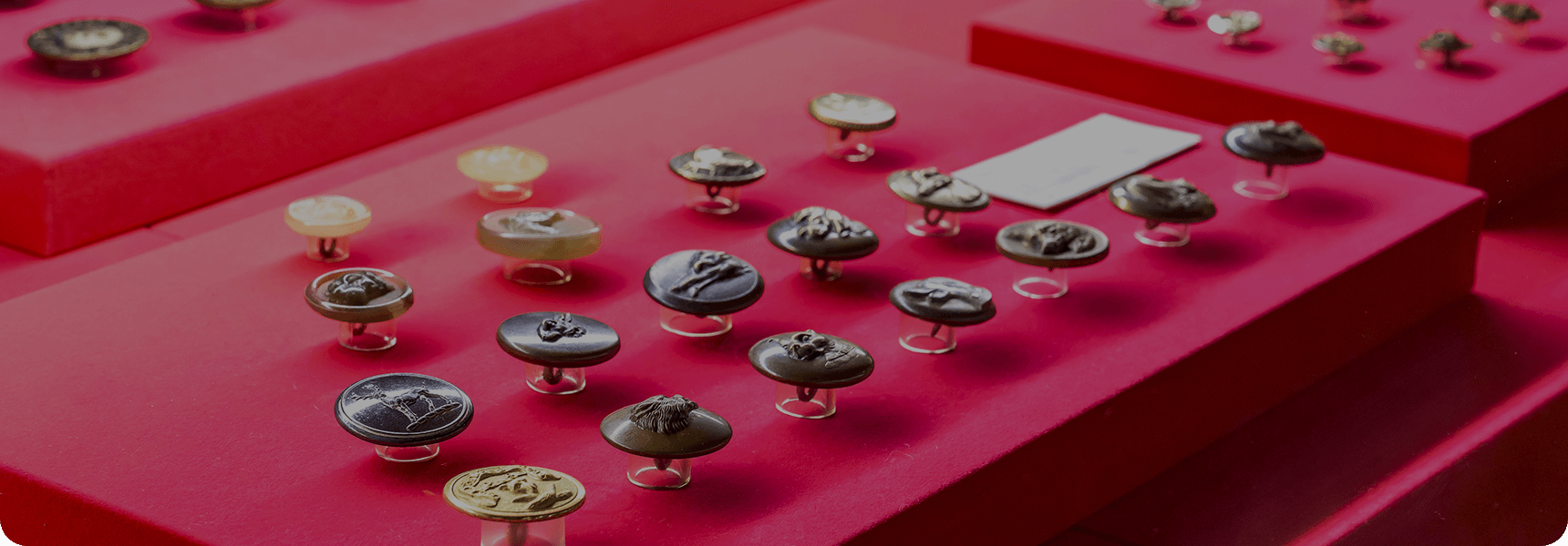 収蔵品メイン画像